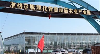 準格爾旗現代智慧設施農業(yè)產業(yè)園